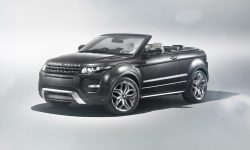 Etiam dictum egestas